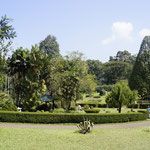 Botanischer Garten