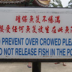 OK - ich habe keine Fische ausgesetzt