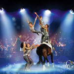 Cavallo Classico 2014