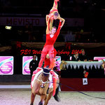 Mevisto Amadeus Horse Indoor 2014