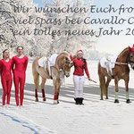 30 Jahre VVI Haflingerweihnachtsshow