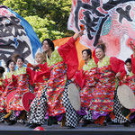 2018年　入選　「Yosakoi最高」