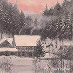5 Wolfsbachmühle Hohegeiß 1912