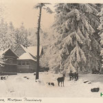 23 Forsthaus Plessenburg Ilsenburg 1930