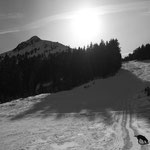 Skitour mit Sebi und Ivy 