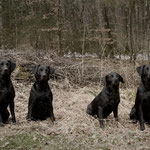 Sage - Mama Ivy - Oma Grace - Halbschwester Sally (von Ivy)