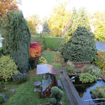 Blick in den Garten