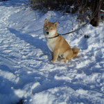 Hachiko Dez 2010