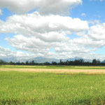 Rice Fields and Zambales Mountain Range, Zambales Province