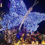 Nativity Scene or Belen at a House of Christmas Lights in Antipolo, Rizal 