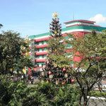 Christmas Tree (Traditional Giant Christmas Tree in Araneta Center)