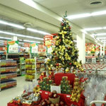 Christmas Tree in a Provincial Mall
