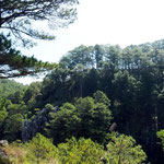 Mountain Scenery