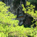 Hanging Coffins