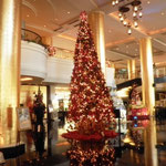 Giant Christmas Tree