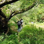 Tourists on a Hike