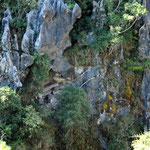 Mountain Scenery
