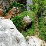 Hiking Trail