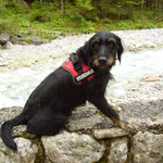 Wimbachtal 2012