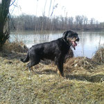 Am Waldsee in Simbach 2013
