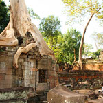 Preah Khan, ein buddhistischer Tempel welcher wahrscheinlich eine Universität beherbergte.