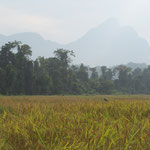 Vang Vieng