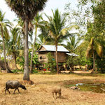 Die Dörfer um Siem Reap