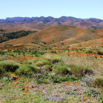 Flinders Range