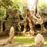 Angkor, Das grösste religiöse Bauwerk der Welt. Hunderte von Tempeln, die bis heute erhalten blieben bilden das Skelett eines gewaltigen Zentrums eines Reiches, das sich von Myanmar bis Vietnam erstreckte. Foto: Preah Khan