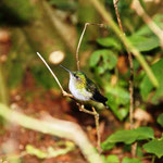 Parque Nacional do Iguaçu