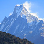 Der Machhapuchhre ist wahrscheinlich der schönste Berg in der Annapurna Region