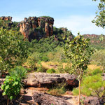 Kakadu NT