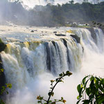 Die Iguazú-Wasserfälle sind die Wasserfälle des Flusses Iguaçu/Iguazú an der Grenze zwischen dem brasilianischen Bundesstaat Paraná und der argentinischen Provinz Misiones