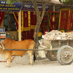 Ninh Binh