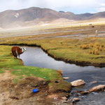 Weg von Potosi nach Uyuni