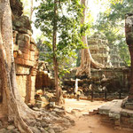 Bild aus der Tempelanlage von Ta Prohm