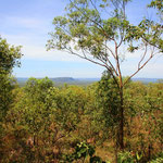 Kakadu NT