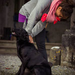 Unterkunft Temple House Manor Dogs Welcome