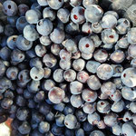 So viele Beeren