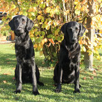 Sohnemann Ben (18 Monate) und Mama Zazou (5 Jahre)