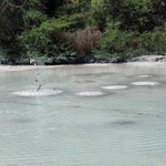 Mud Pools, Wai-O-Tapu Geothermal Park - ​Rotorua