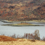 Loch Linnhe - 1