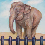 Sky of a lie/30.5×30.5cm/2007