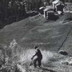 Severin Kronig beim Mähen des Korns in Zmutt (Unbekannter Fotograf, 1940er Jahre).