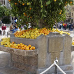 Sóller, Marktplatz Orangenfest 