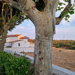 Abendstimmung im Alentejo