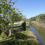 Nationalpark S´Albufeira