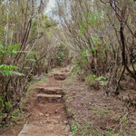 Levada, Wanderweg PR10