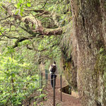 Levada, Wanderweg PR10