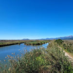 Nationalpark S´Albufeira